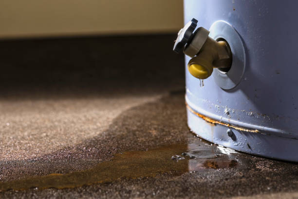 Best 24/7 water damage repair  in Castle Pines Village, CO