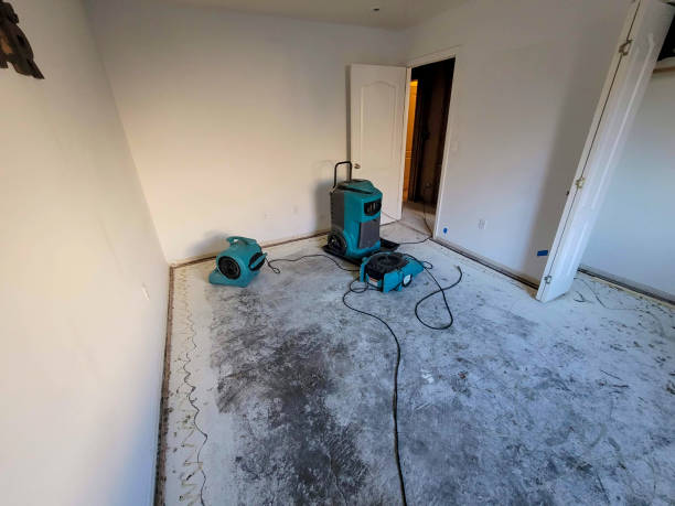 Best 24-hour water damage restoration  in Castle Pines Village, CO