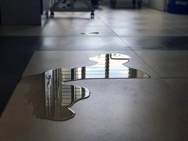 Best Water damage contractors near me  in Castle Pines Village, CO