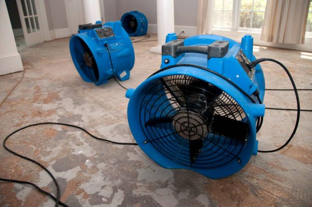 Best Sewage cleanup and water damage restoration  in Castle Pines Village, CO