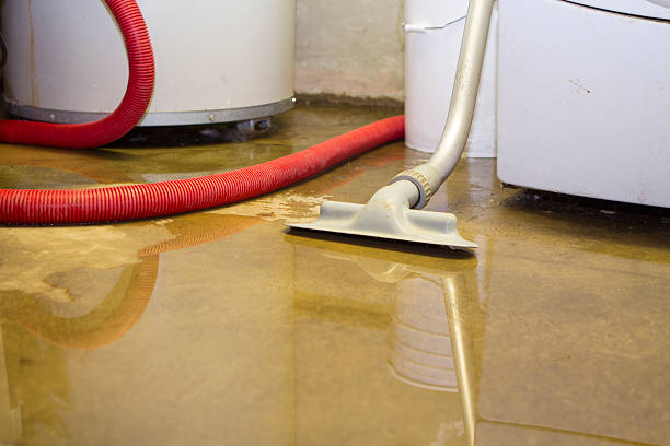 Sewage cleanup and water damage restoration in CO