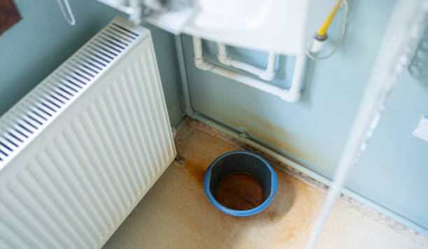 Best Professional water damage repair  in Castle Pines Village, CO