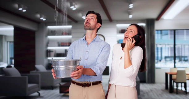 Best Mold removal after water damage  in Castle Pines Village, CO