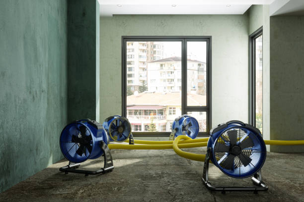 Best Commercial water damage restoration  in Castle Pines Village, CO